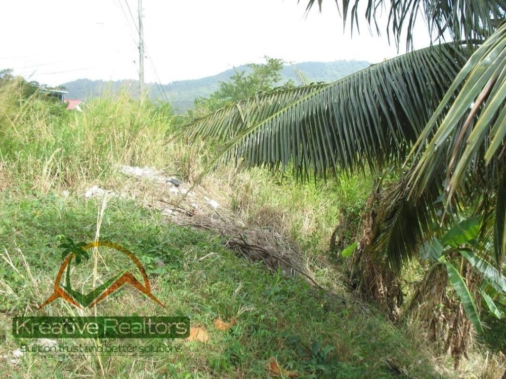 LAND FOR SALE AT MORNE SERPENT, GRANDE RIVIERE image 3