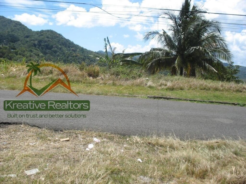 LAND FOR SALE AT MORNE SERPENT, GRANDE RIVIERE image 2