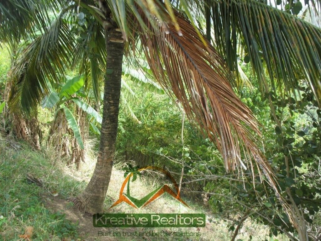 LAND FOR SALE AT MORNE SERPENT, GRANDE RIVIERE image 4