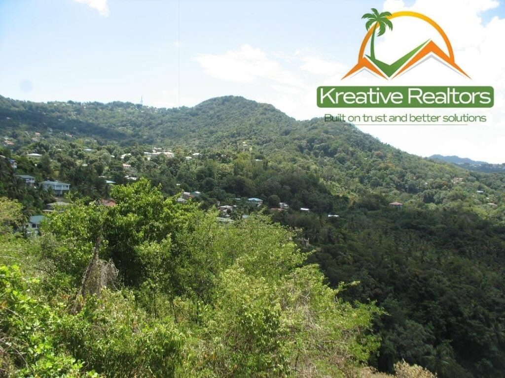 LAND FOR SALE AT MORNE SERPENT, GRANDE RIVIERE image 1