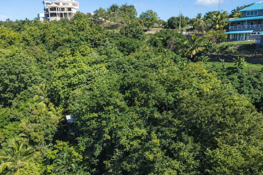 Land for sale at Moulin A Vent image 3