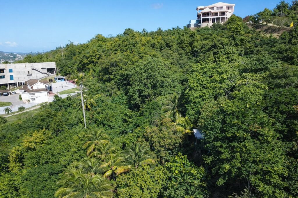 Land for sale at Moulin A Vent image 4