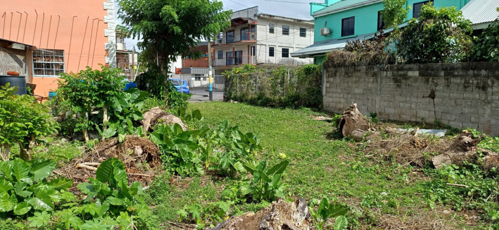 Land for Sale – Riverside Road image 2