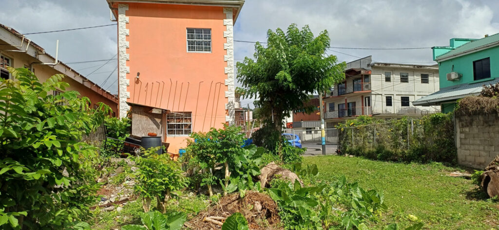 Land for Sale – Riverside Road image 3
