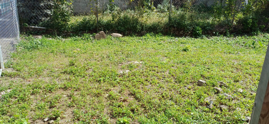 Land for Sale – Riverside Road image 5