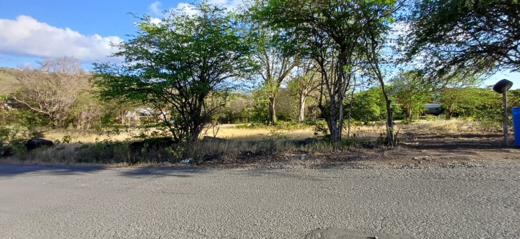 LAND FOR SALE AT BELLE VUE, CAP ESTATE, GROS ISLET image 2