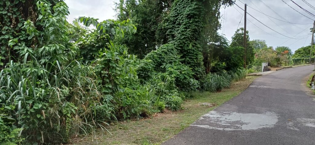LAND FOR SALE AT MIDDLE RIDGE, SUNNY ACRES, CASTRIES image 4